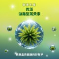 大欣生技｜買二送三【藻晶亮】12入/盒